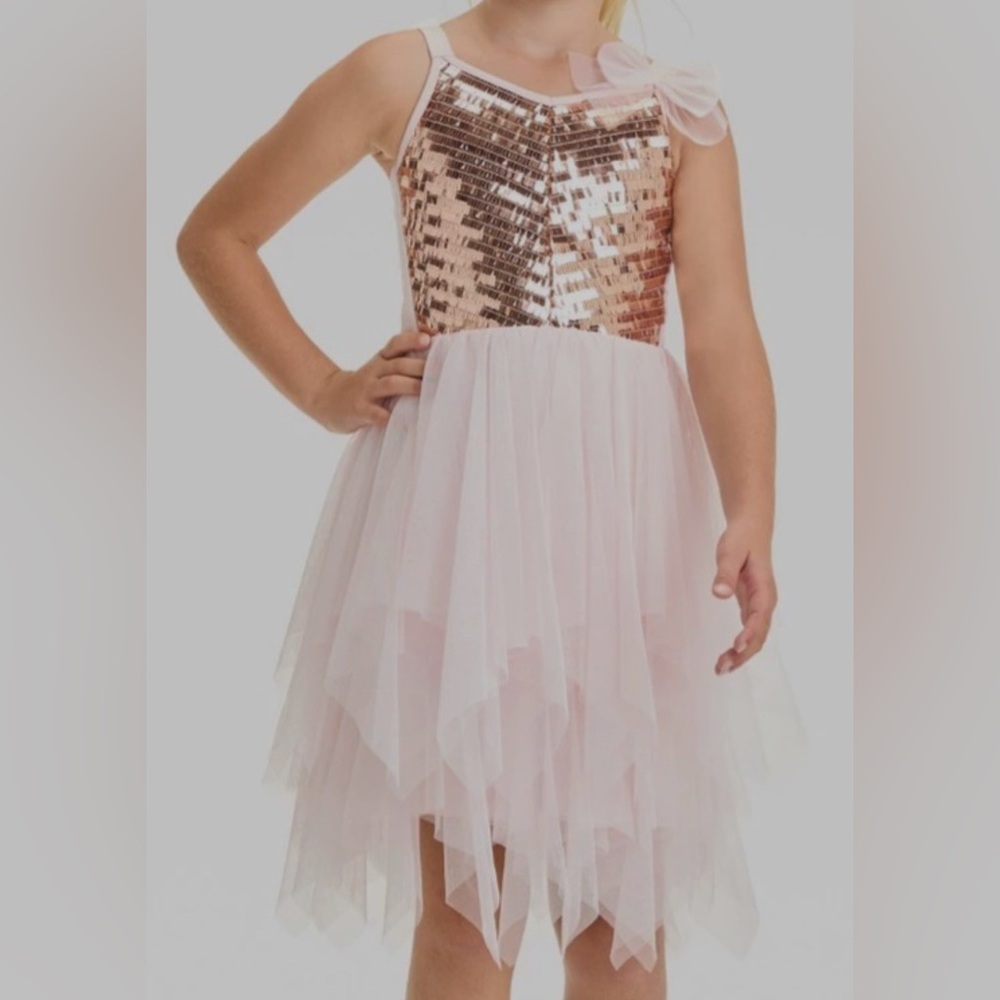 Zhenzi Blush Dress with Sequin Accents